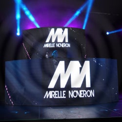 Mirelle Noveron's 2018 Recap Chart
