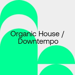 Festival Essentials 2024: Organic H / D