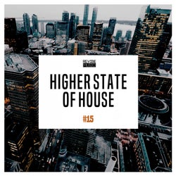 Higher State of House, Vol. 15
