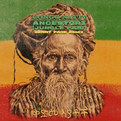 Ancestorz (Jungle Fari) (Benny Page Remix)