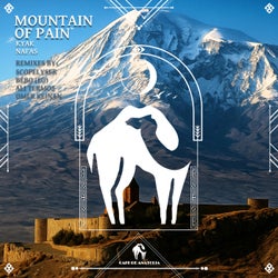 Mountain of Pain