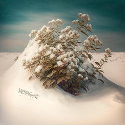 Snowmound