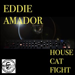HOUSE CAT FIGHT (Radio Mix)