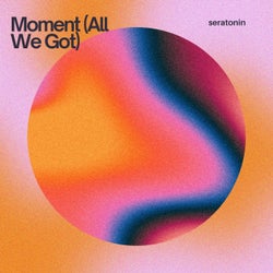 Moment (All We Got)