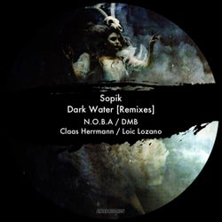 Dark Water (Remixes)