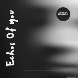 Echos of You