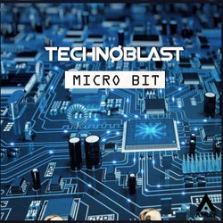 Micro Bit