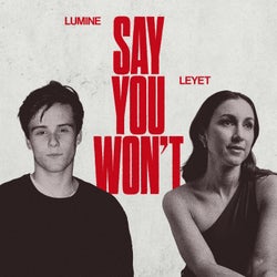 Say You Won't