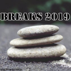 Breaks 2019