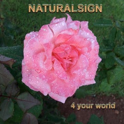 4 Your World
