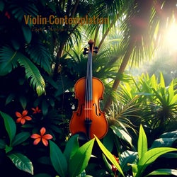 Violin Contemplation