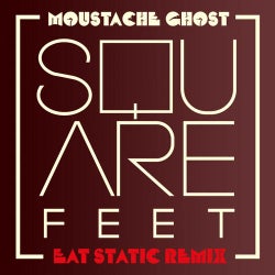 Moustache Ghost (Remix)