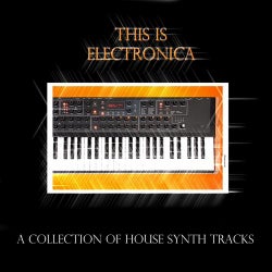 This Is Electronica (A Collection Of House Synth Tracks)