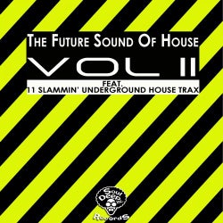 The Future Sound Of House Vol 2