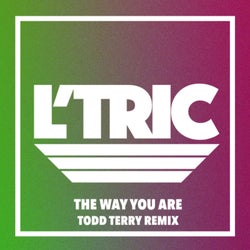 The Way You Are (Todd Terry Remix)
