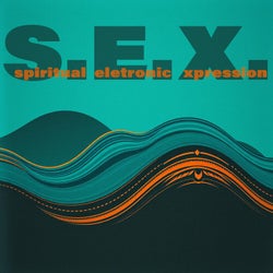 S.E.X.
