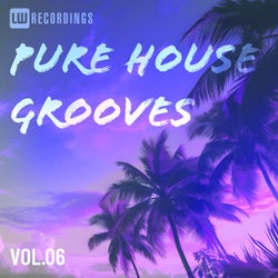 Pure House Grooves, Vol. 06
