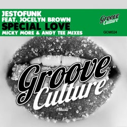 Special Love (feat. Jocelyn Brown) [Micky More & Andy Tee Mixes]