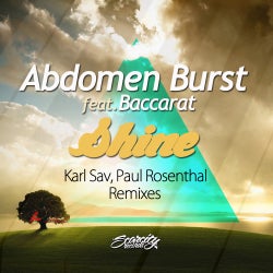 Shine - Remixes Volume 2