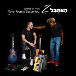 Never Gonna Leave You feat. Elamar