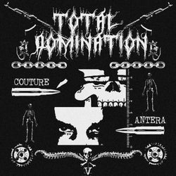 Total Domination (Slowed + Reverb)