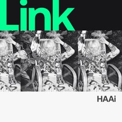 LINK ARTIST | HAAi - PURPLE JELLY DISC