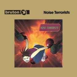 Noise Terrorists