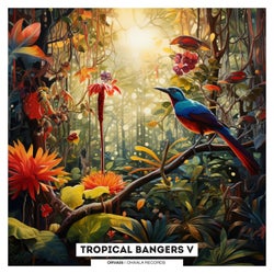 Tropical Bangers V