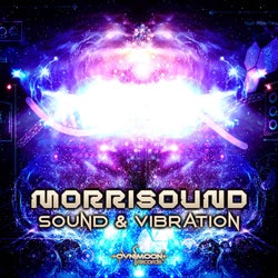 Sound & Vibration