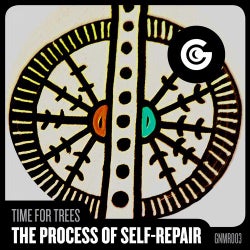 The Process Of Self-Repair