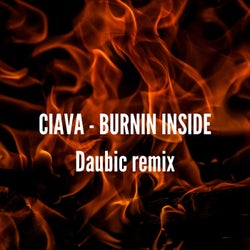 Burnin Inside (Radio Edit / Daubic Remix)