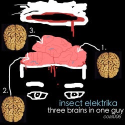 Three Brains In One Guy