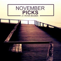 November Picks 2014 by Peter Wagner