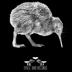 SPACE BIRD RECORDS JUNE