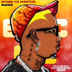 Pitori to Mantua