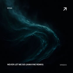Never Let Me Go (Jamayne Remix)