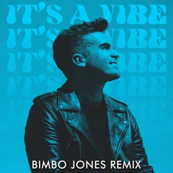 It's A Vibe (Bimbo Jones Remix)