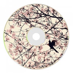 Sunshine Chords EP