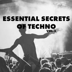 Essential Secrets of Techno, Vol. 3