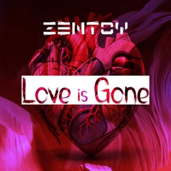 Love Is Gone