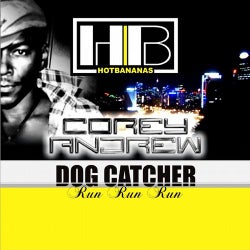 Dog Catcher (Run Run Run)