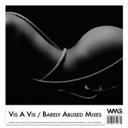 Barely Abused Mixes