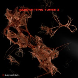 Hard Hitting Tunes 2