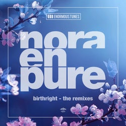 Birthright (The Remixes)