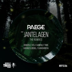 Jantelagen - The Remixes