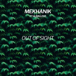 Out of Sight (feat. Alinn Love)