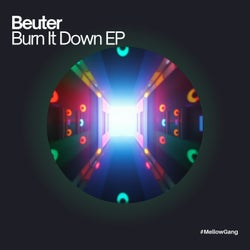 Burn It Down EP