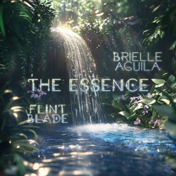 The Essence