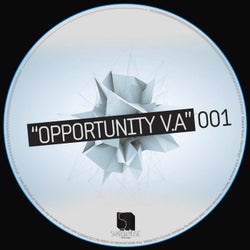 Opportunity  - VARIOUS ARTISTS - 001