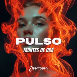 Pulso